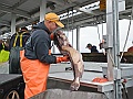 Alaska Wildlife-57